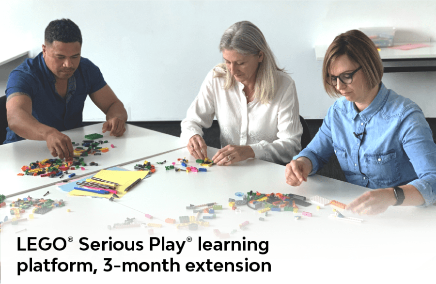 The LEGO® SERIOUS PLAY® Facilitator Program - 3-month extension